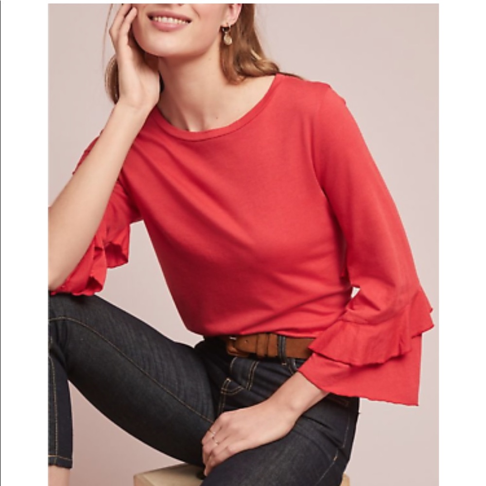 Anthropology top